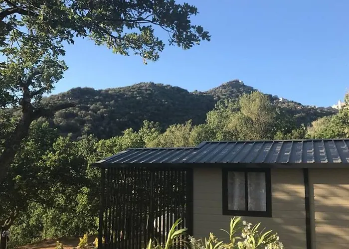 Cosy A Corbara, Vue Chalet